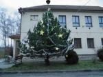 Stavění vánočního stromu 2013